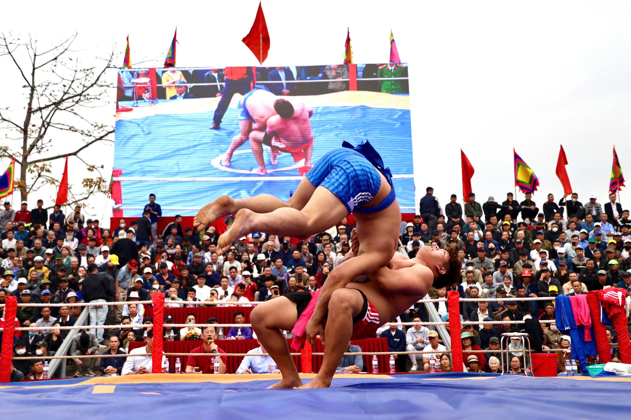 Hội vật làng Vĩnh Khê thu hút hàng nghìn người dân và du khách