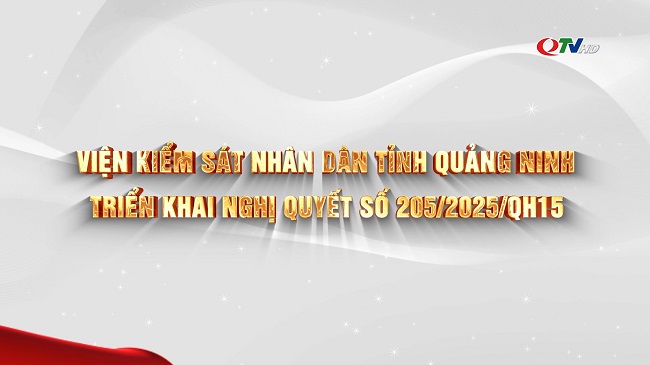 VKSND tỉnh Quảng Ninh nhiều giải pháp hiệu quả triển khai Nghị quyết số 205 của Quốc hội