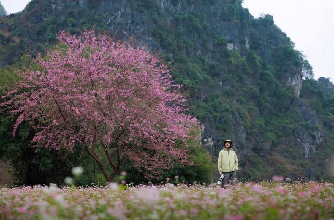 Đâu ai muốn ngắm pháo hoa ở một nơi cách gia đình 2 400km