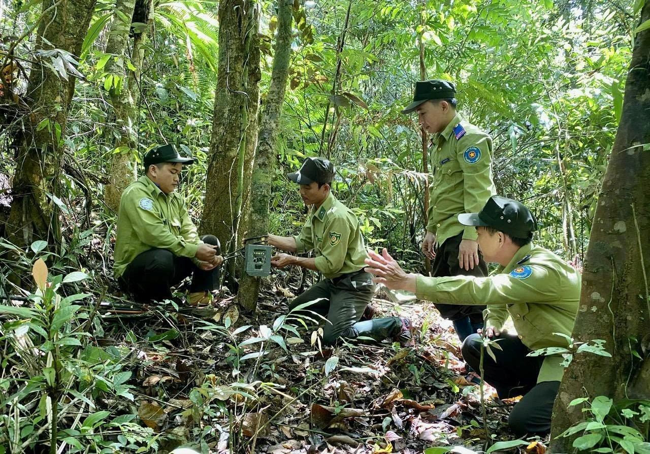 Giá trị đa dụng từ rừng - Từ nền tảng hệ sinh thái đến sinh kế bền vững tại Đà Nẵng