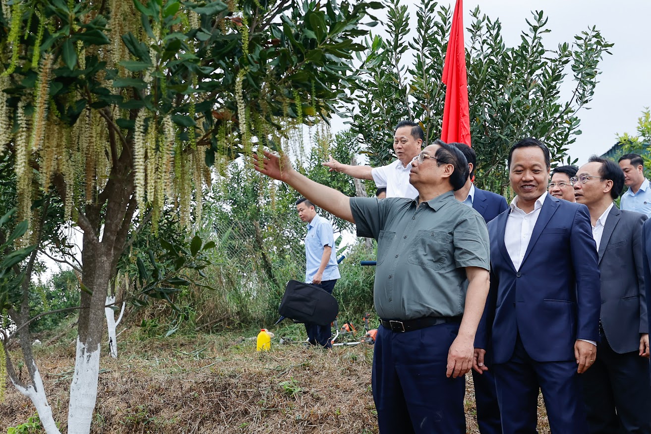 Thủ tướng Phạm Minh Chính Cần biến núi rừng Tây Bắc trùng điệp thành của cải vật chất