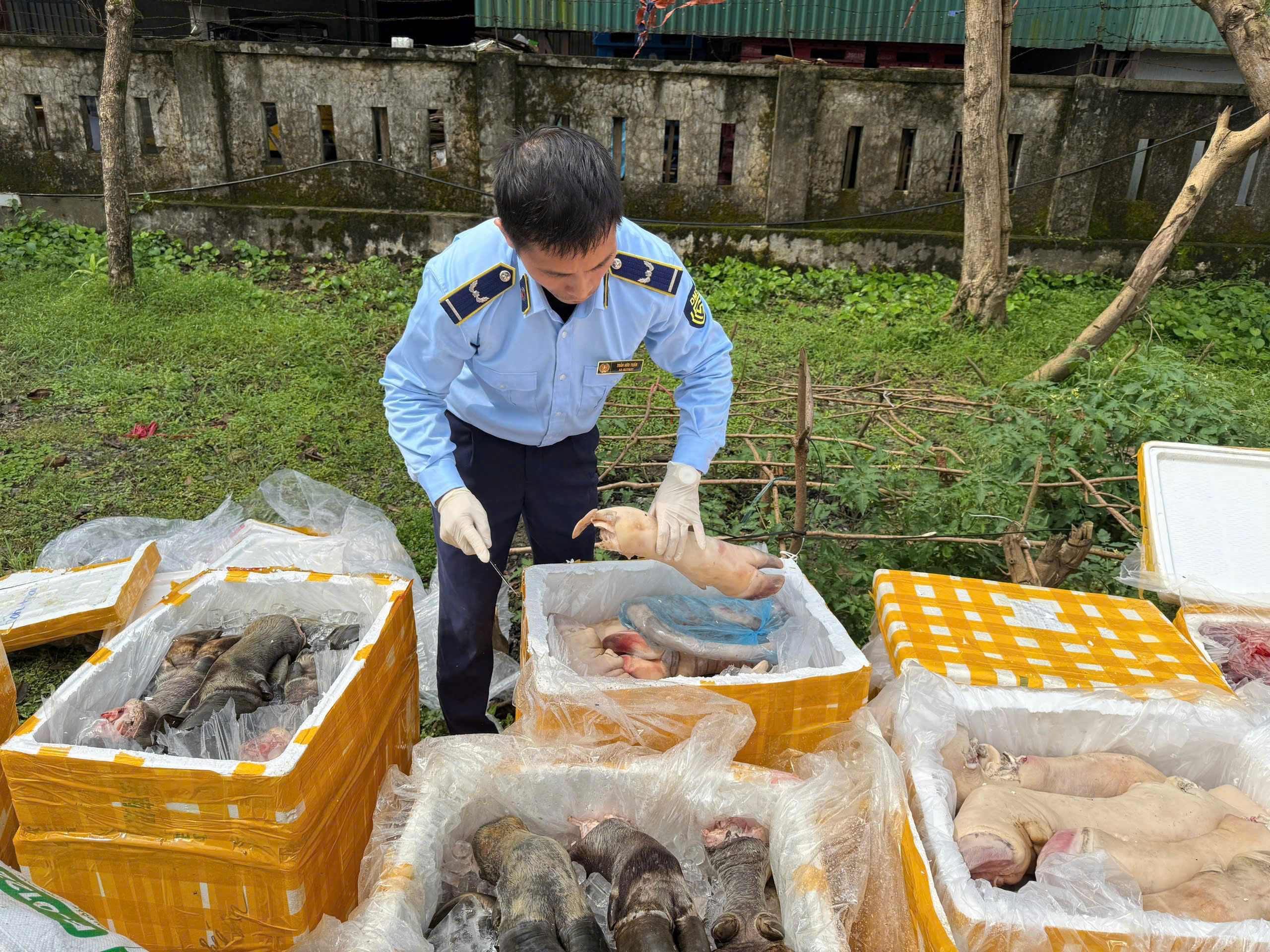 Phát hiện hơn 2,6 tấn nội tạng động vật không rõ nguồn gốc