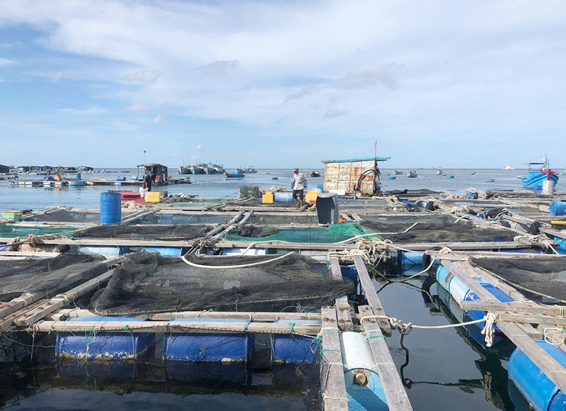 Lâm Đồng hướng tới hiện đại hóa trong đánh bắt hải sản