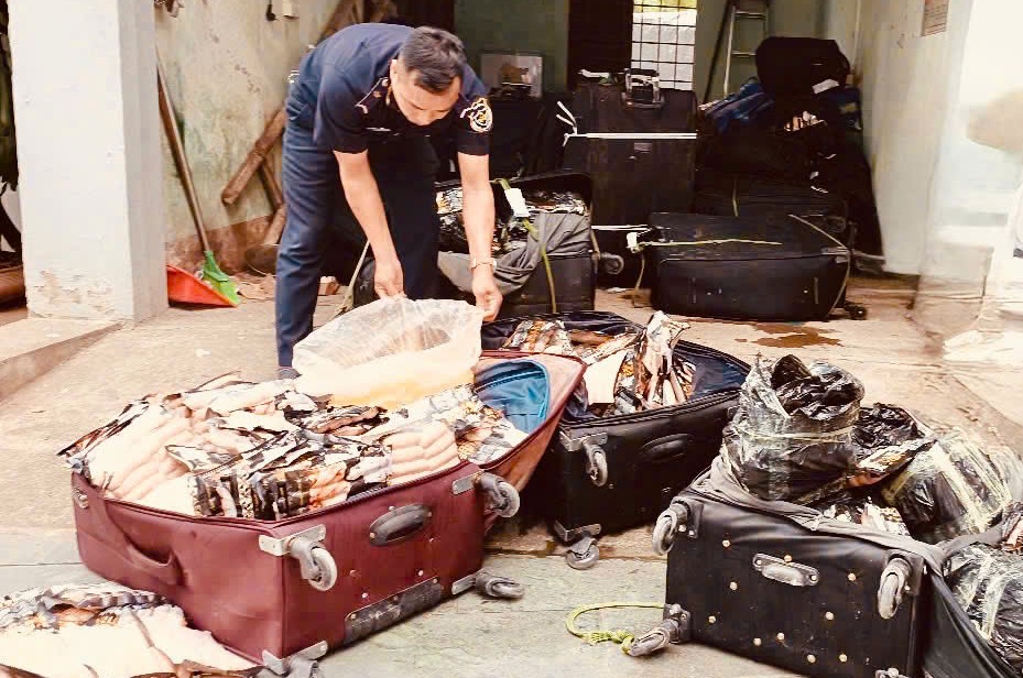 Phát hiện, ngăn chặn hơn 1,8 tấn thực phẩm đông lạnh nhập lậu