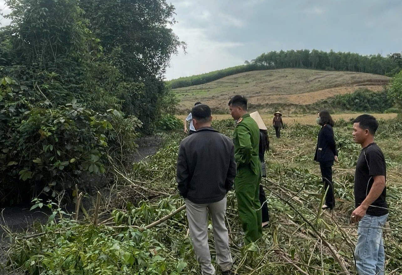 VKSND khu vực 8 - Nghệ An Tích cực vào cuộc xử lý các hành vi xâm hại môi trường sống