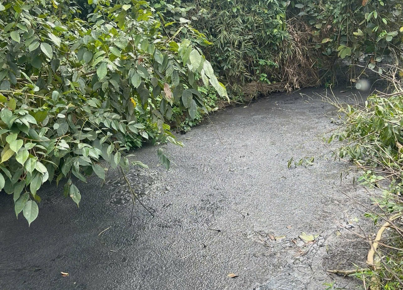 VKSND khu vực 8 - Nghệ An Tích cực vào cuộc xử lý các hành vi xâm hại môi trường sống