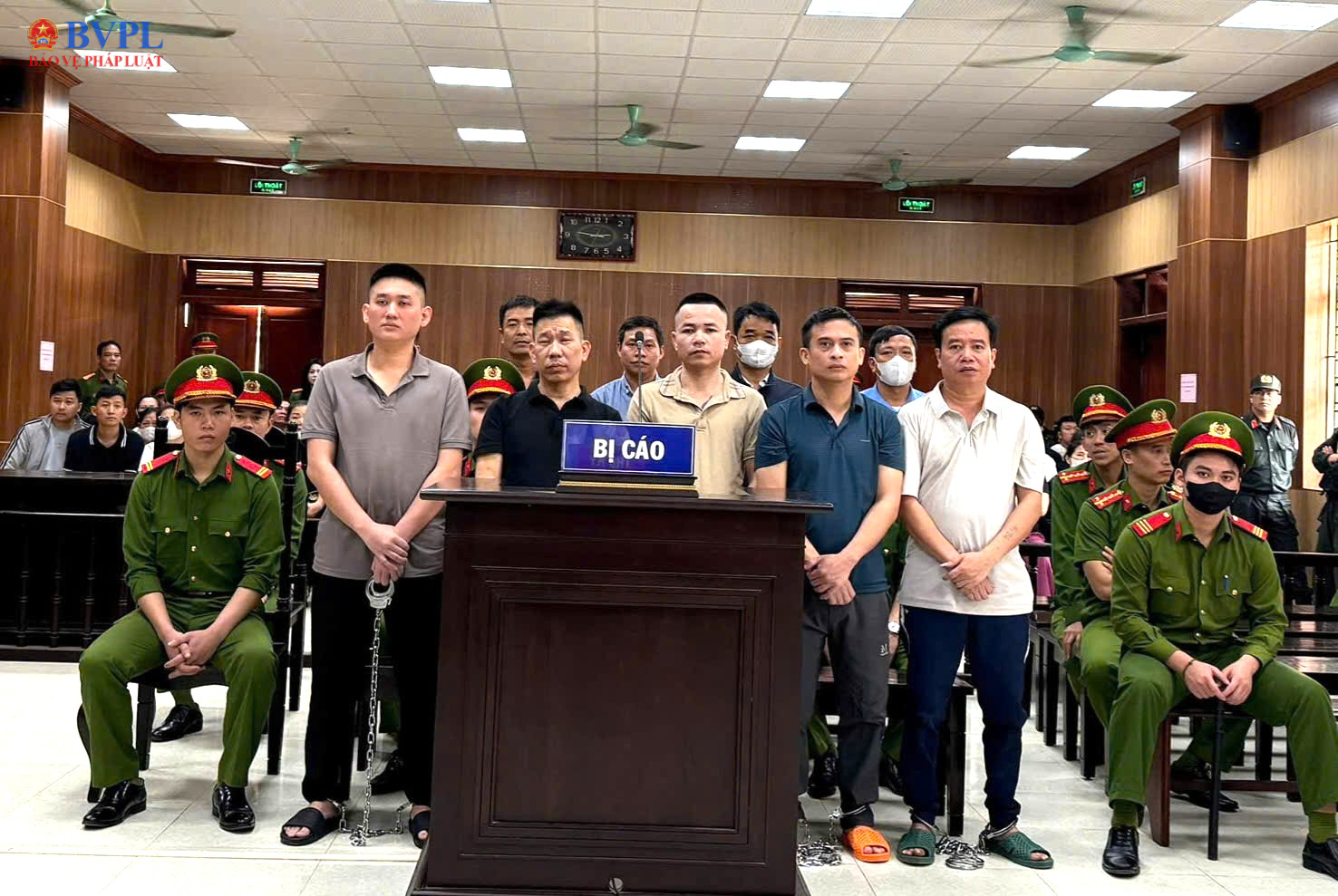 Ông trùm “Mạnh gỗ” ăn chia tiền tỉ với cán bộ kiểm lâm để “thông chốt” gỗ lậu