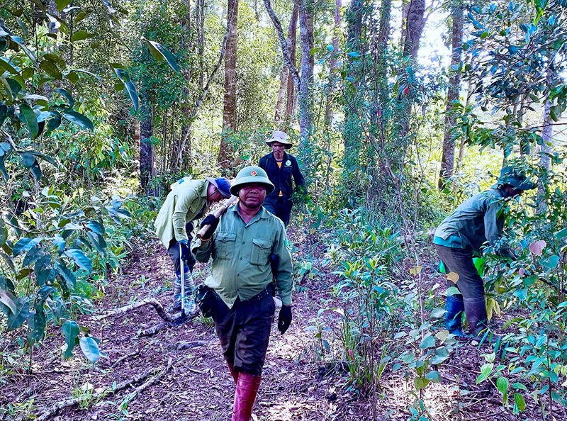 Lâm Đồng siết chặt bảo vệ rừng trong cao điểm mùa khô