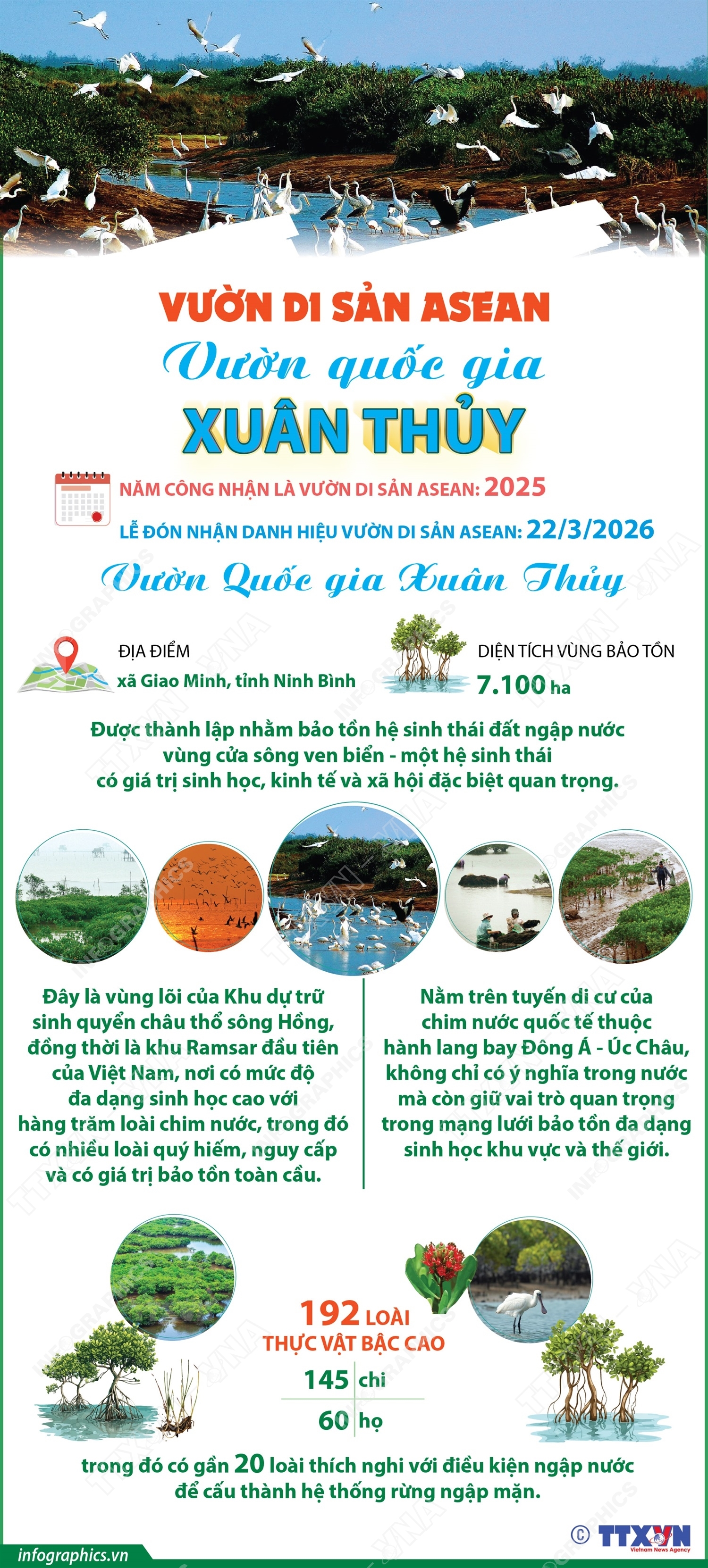 ảnh slide