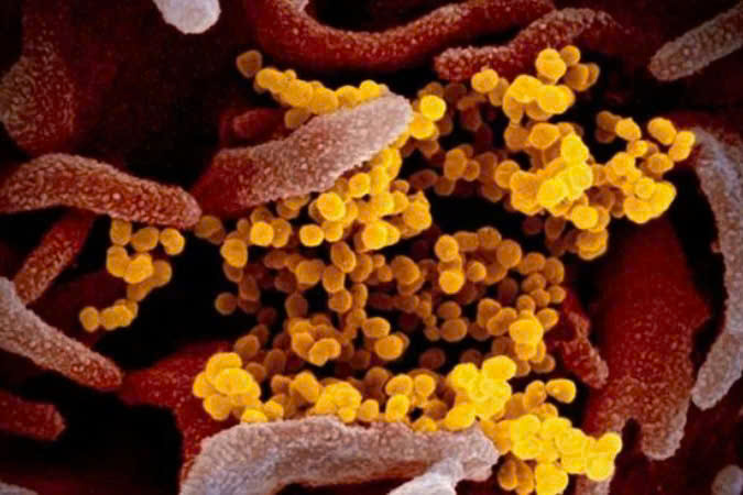 Bộ Y tế thông tin về biến thể COVID-19 BA 3 2 Nguy cơ thấp nhưng cần theo dõi chặt chẽ