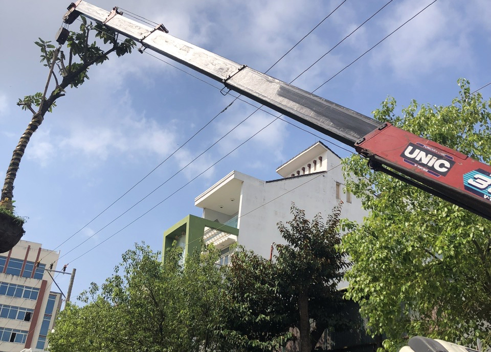 Cần cẩu chạm đường dây điện 3 pha khi cẩu cây, 1 người tử vong