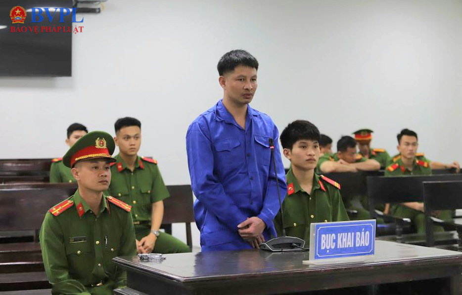 Nghịch tử giết mẹ lĩnh án chung thân