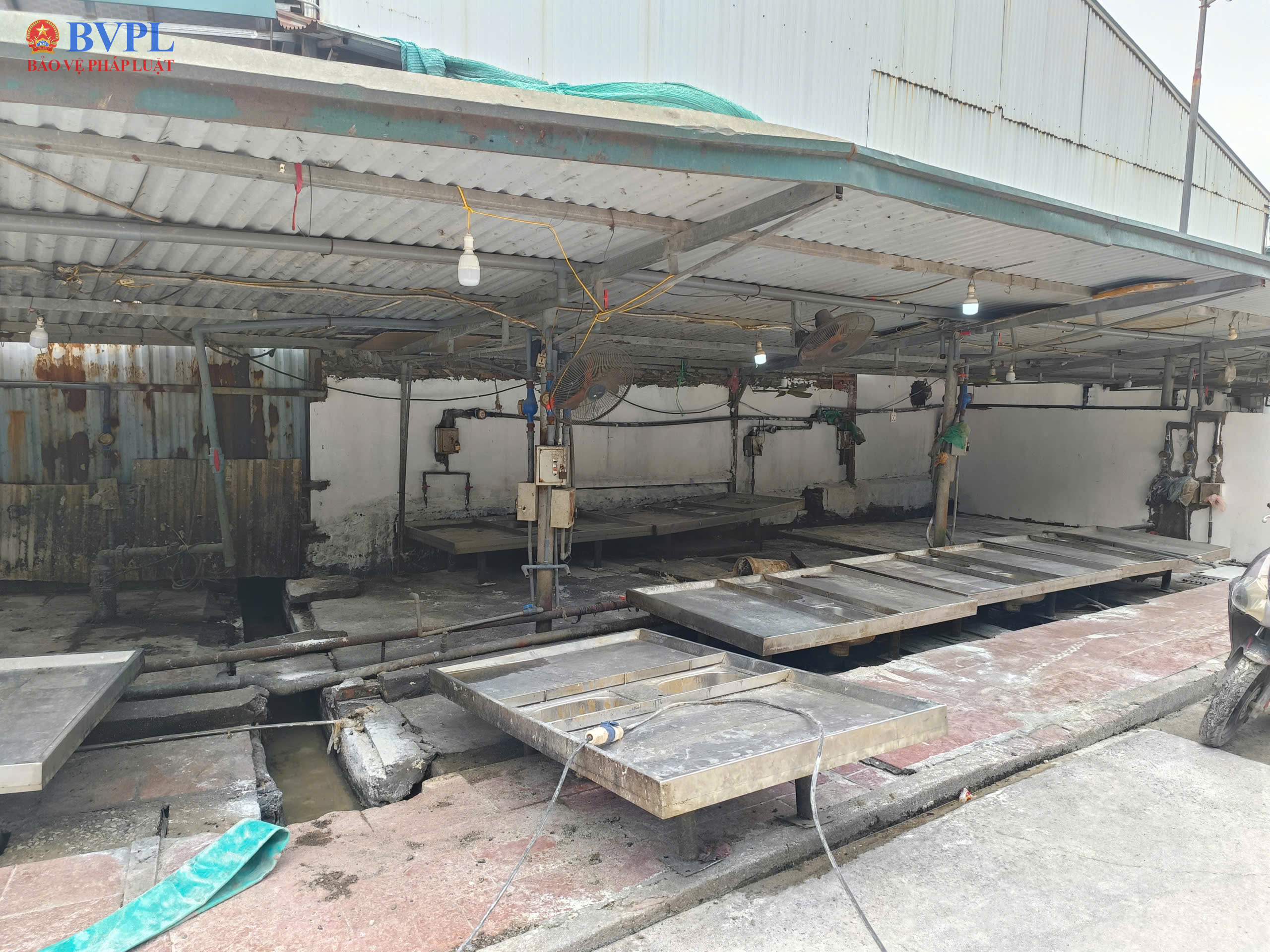 Cận cảnh lò mổ không biển hiệu giữa khu giết mổ tập trung