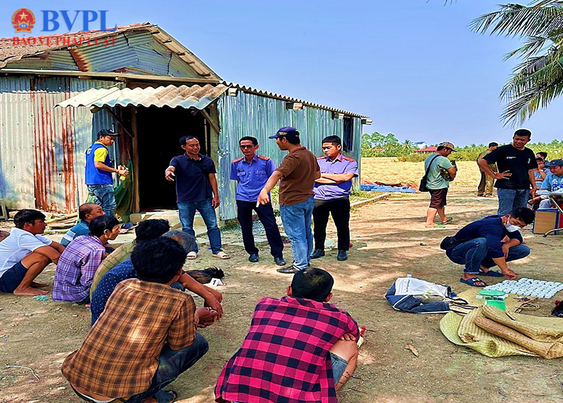 VKSND Khu vực 2 tỉnh Đồng Tháp kiểm sát khám nghiệm hiện trường vụ đá gà