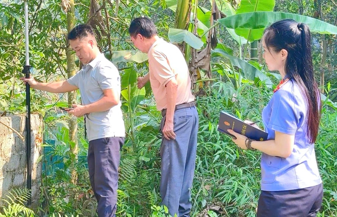 Tăng cường phối hợp xem xét, thẩm định tại chỗ, nâng cao chất lượng giải quyết án