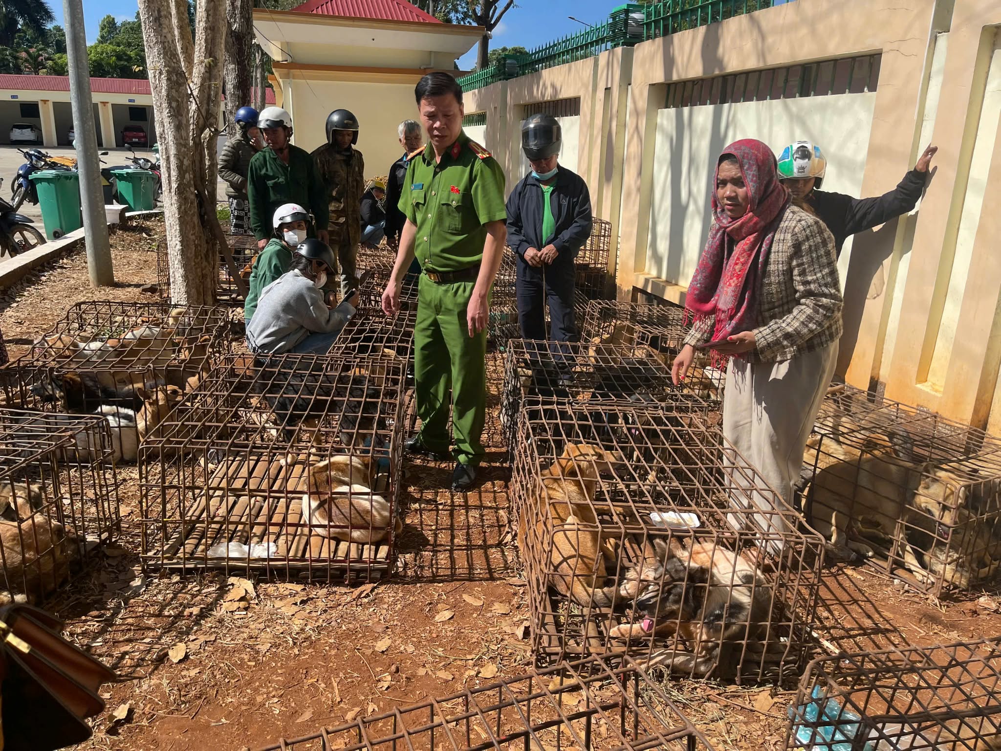 Khởi tố hai đối tượng liên quan vụ trộm cắp 70 con chó