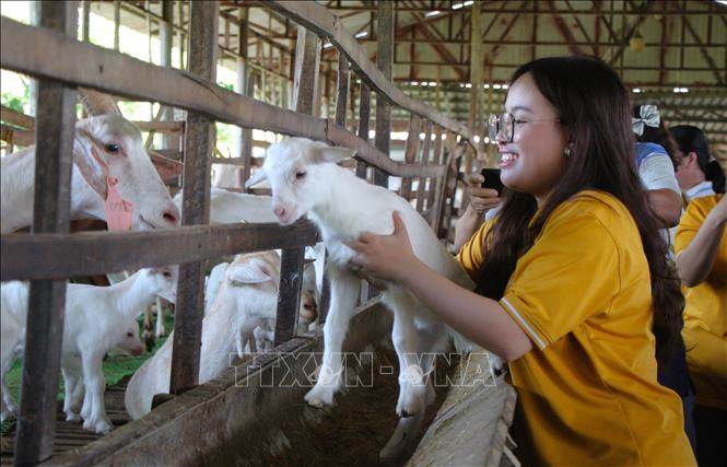 Gỡ nút thắt để du lịch nông nghiệp, sinh thái phát triển xứng tầm
