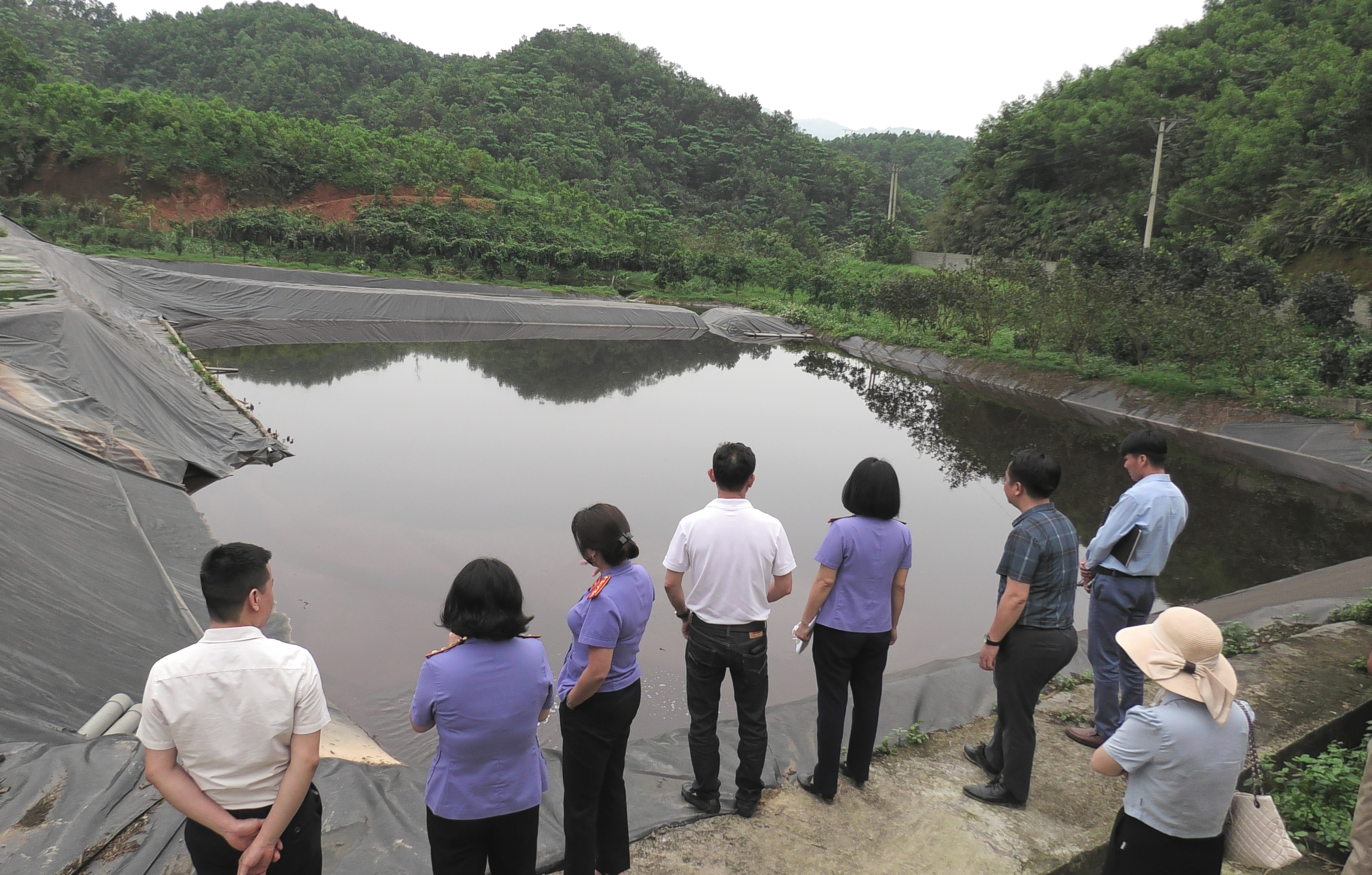 VKSND khu vực 4 - Lào Cai ban hành kiến nghị chặn ô nhiễm môi trường từ trại lợn quy mô lớn