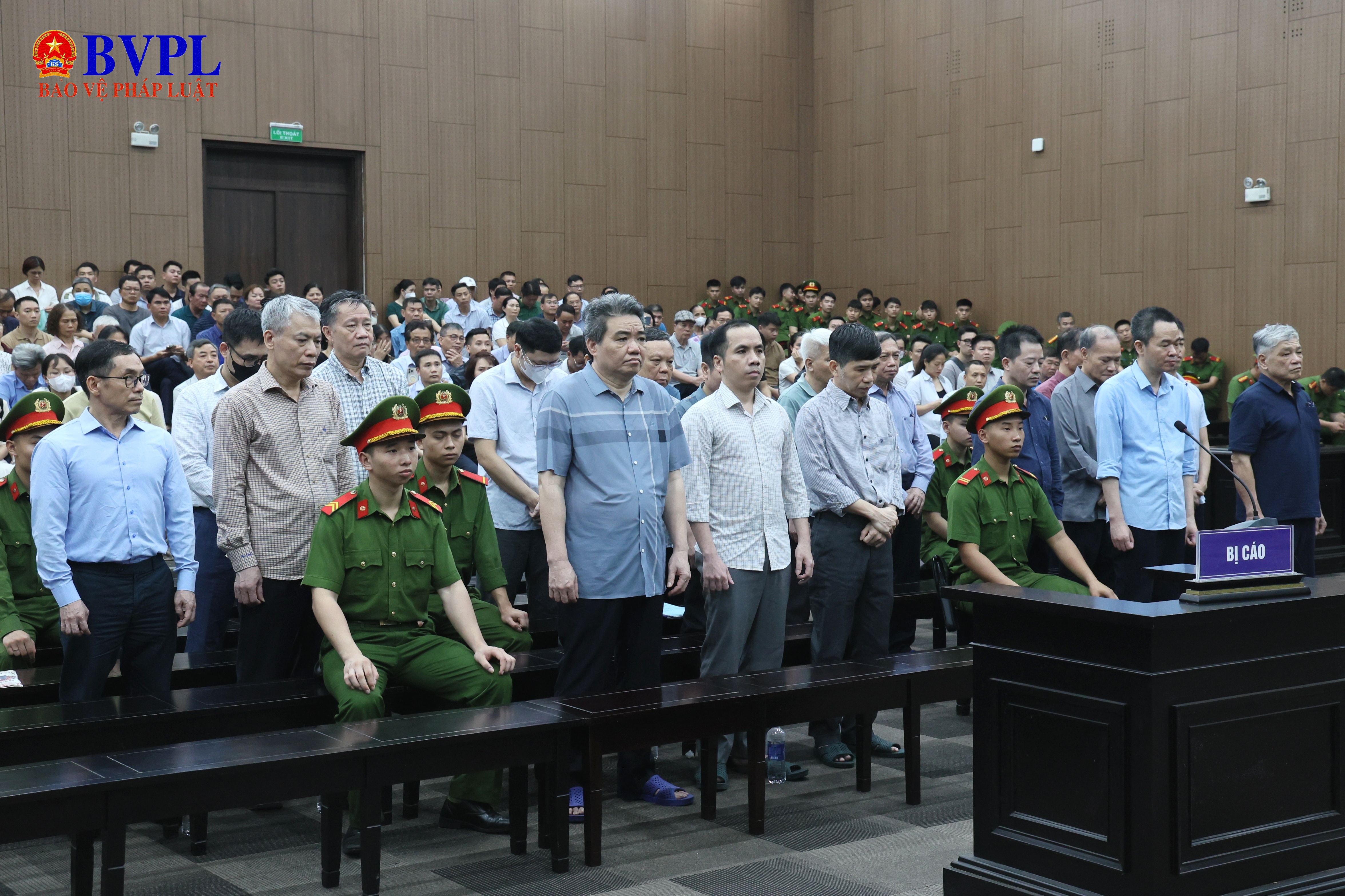 Cựu Thứ trưởng Bộ Nông nghiệp và Phát triển nông thôn bị tuyên phạt 4 năm tù