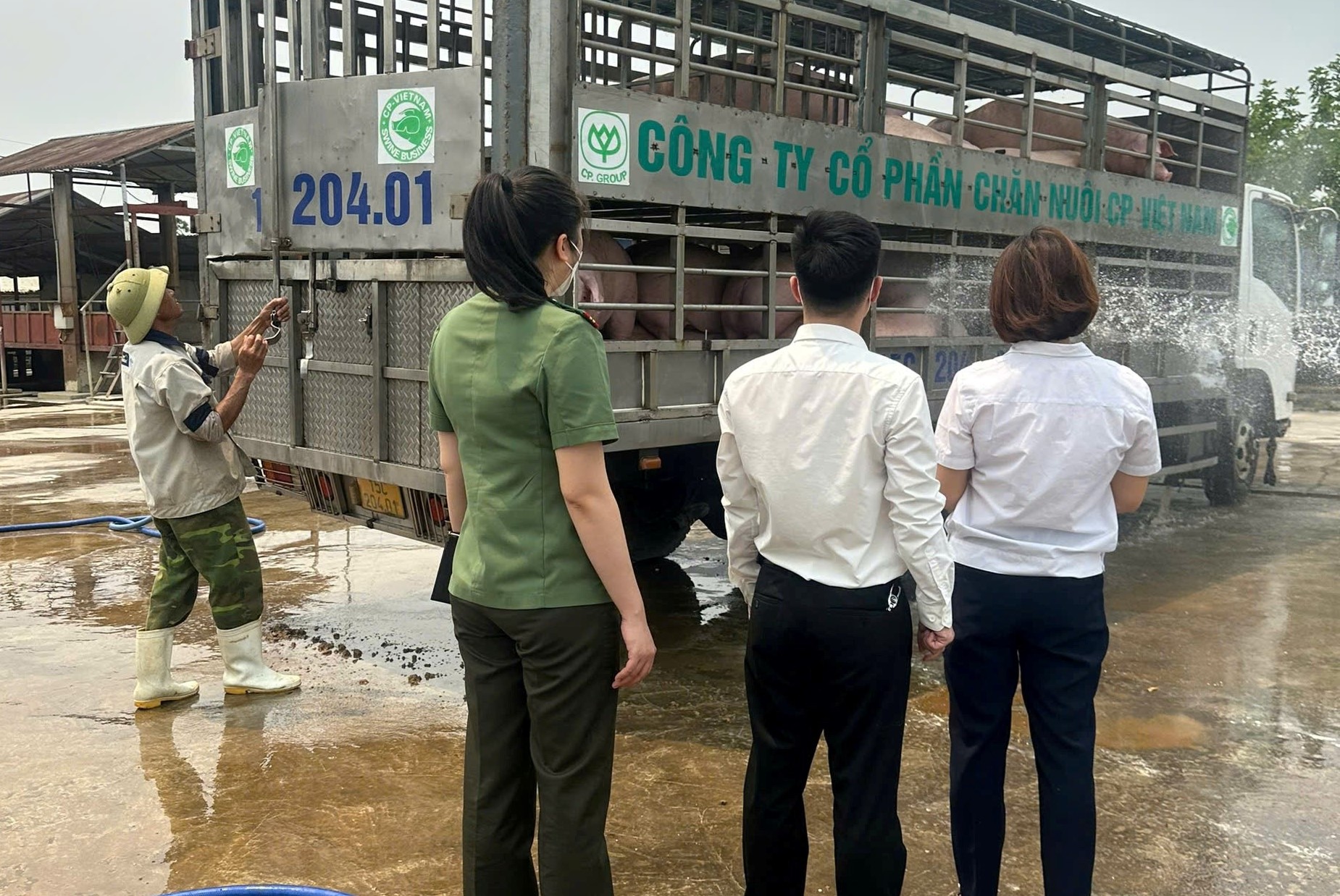 Phối hợp kiểm soát dịch bệnh động vật trên địa bàn Hải Phòng