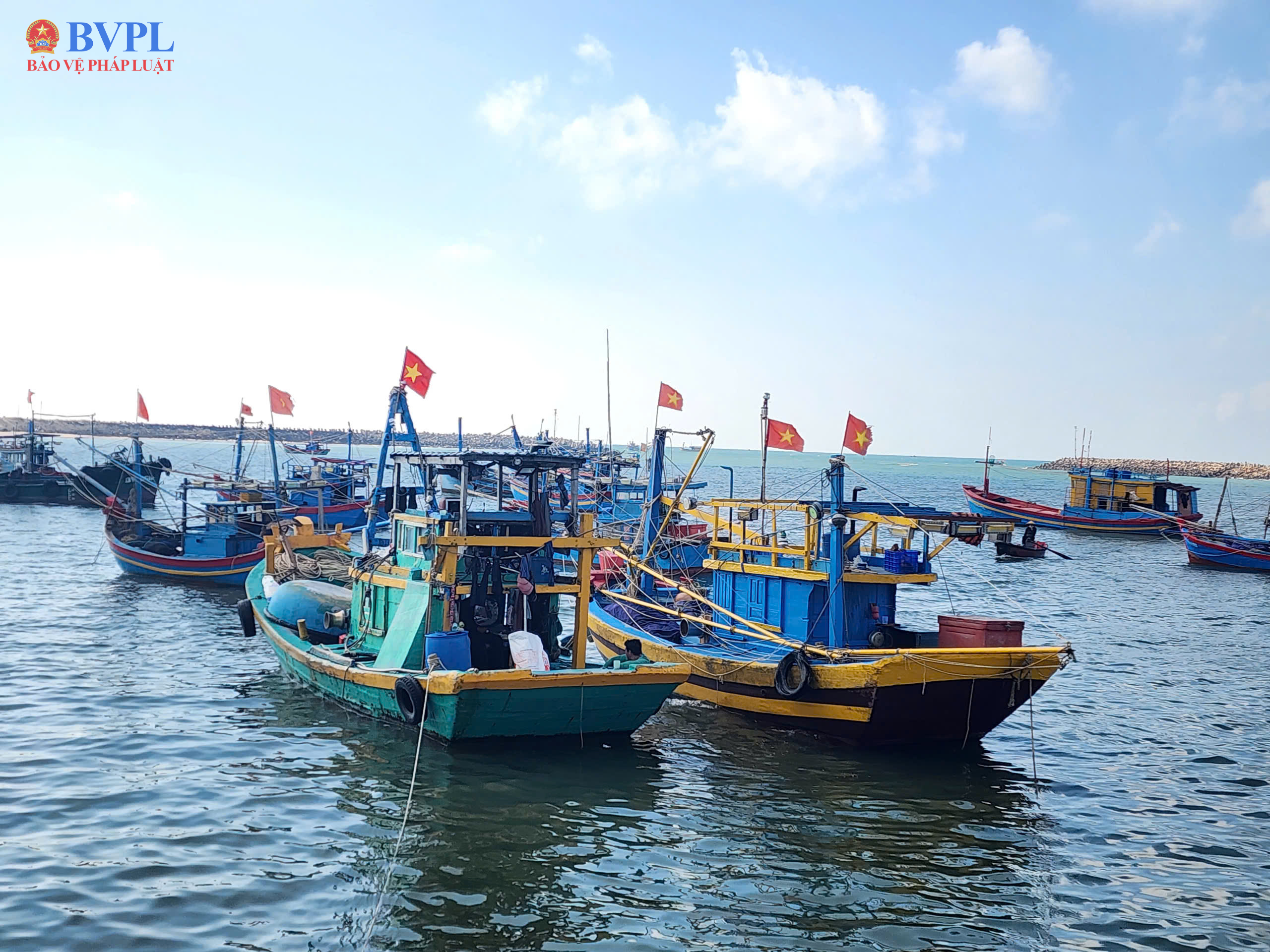 TP Hồ Chí Minh xử lý dứt điểm các tàu cá vi phạm IUU