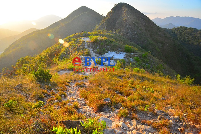 Đề xuất nghiên cứu dự án Khu đô thị hỗn hợp núi Cô Tiên 1 140ha