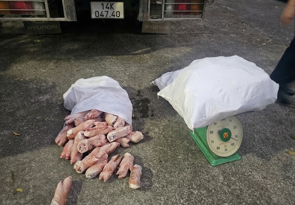 Phát hiện 12 tấn chân lợn đông lạnh không rõ nguồn gốc, bốc mùi hôi