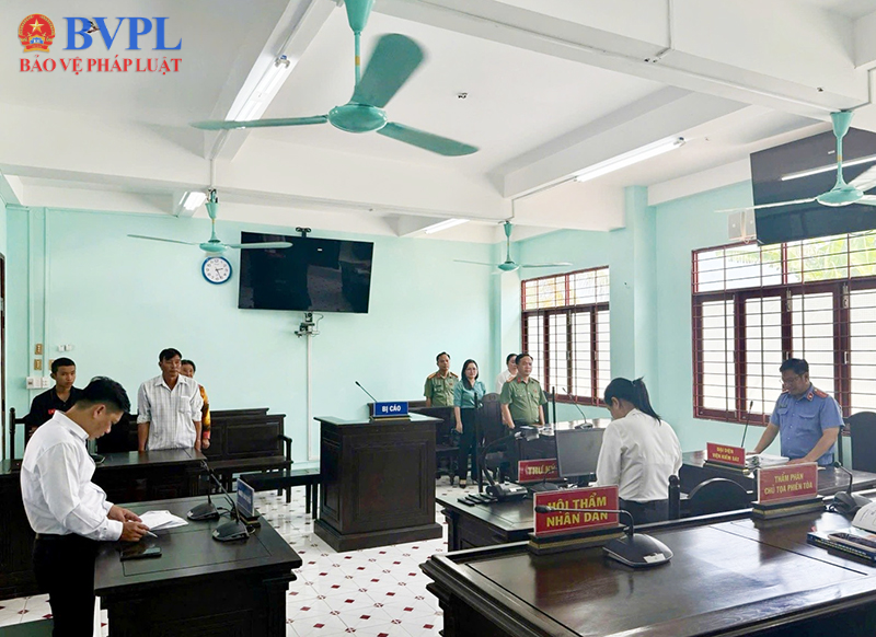 VKSND Khu vực 2 tỉnh Đồng Tháp tham gia phiên họp áp dụng biện pháp xử lý chuyển hướng