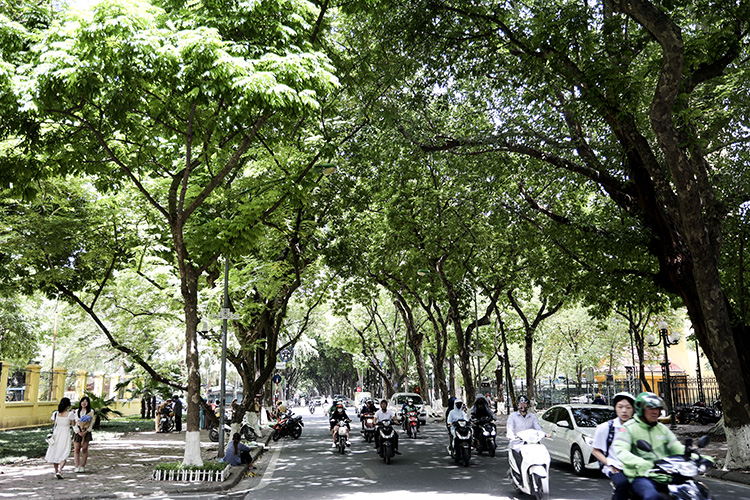 Không khí lạnh yếu gây mưa dông Bắc Bộ, Trung Bộ tiếp tục nắng nóng gay gắt