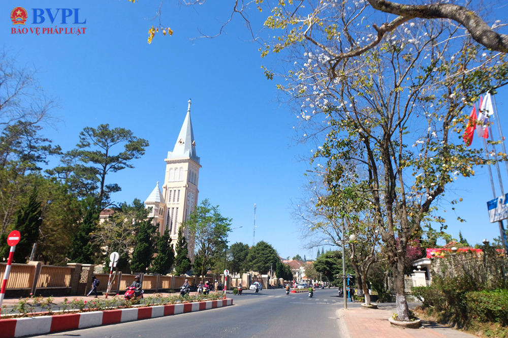 Lâm Đồng kêu gọi doanh nghiệp du lịch giảm giá dịch vụ để hút khách