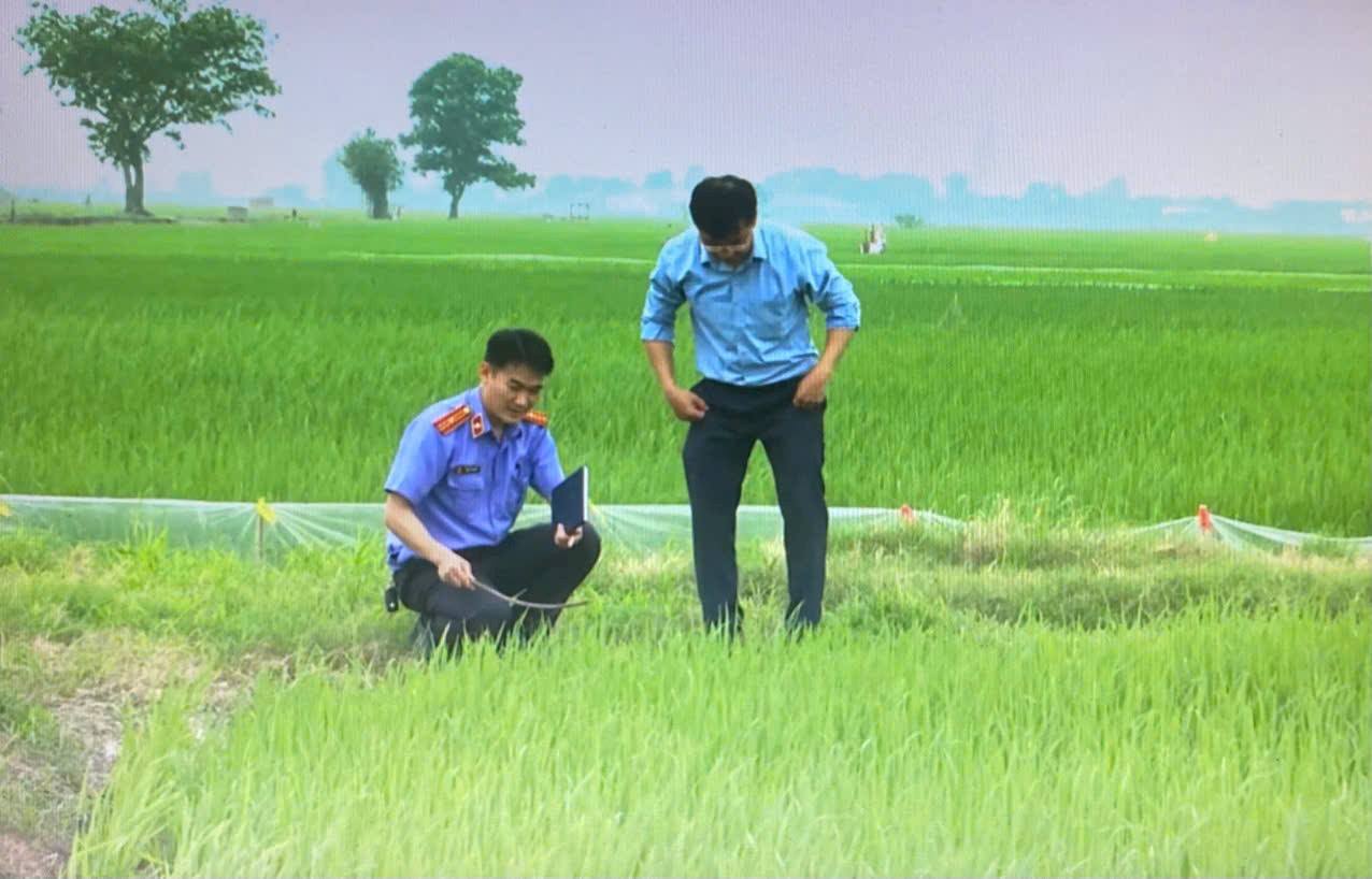 Liên tiếp các vụ điện giật gây chết người ở Hải Phòng