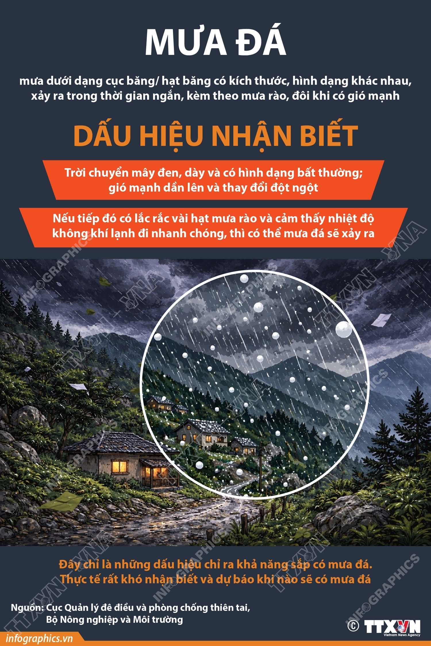 ảnh slide