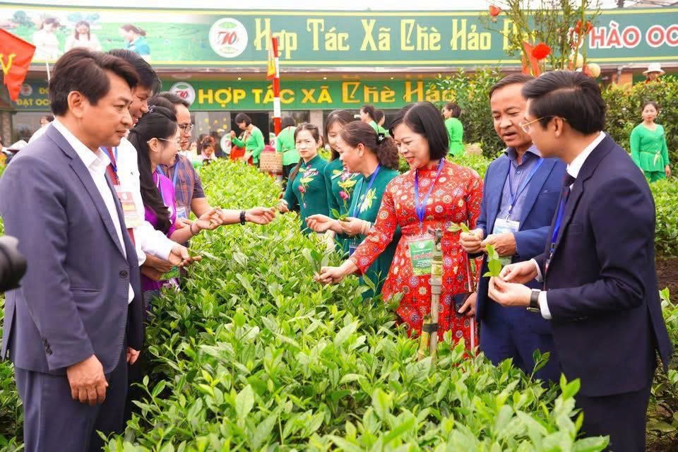 Chè Hảo Đạt - Tinh hoa trà Thái Nguyên