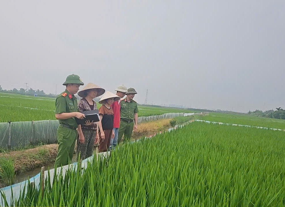 Thêm 1 vụ chết người ở Hải Phòng do giăng điện bẫy chuột