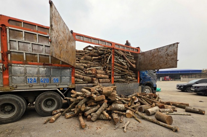 Phát hiện vụ việc vận chuyển hàng chục tấn gỗ trái phép