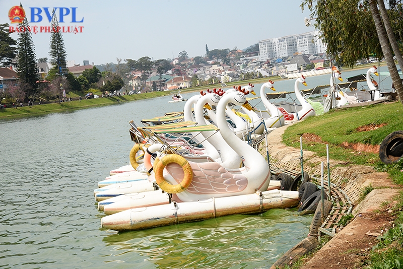 Cảnh báo dịch vụ đạp vịt tại danh thắng quốc gia hồ Xuân Hương