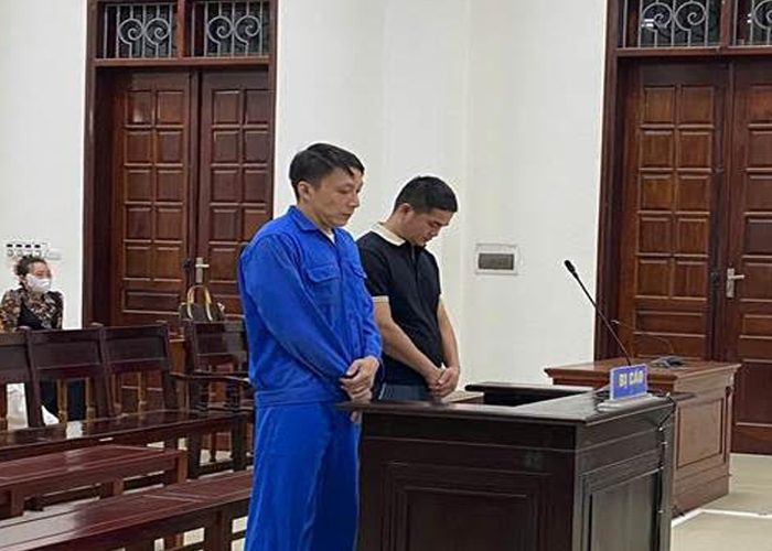 Buôn bán trái phép 900kg vảy tê tê, hai đối tượng lãnh án 16 năm tù