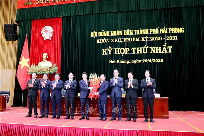 Phê chuẩn ông Đỗ Thành Trung giữ chức Chủ tịch UBND TP Hải Phòng