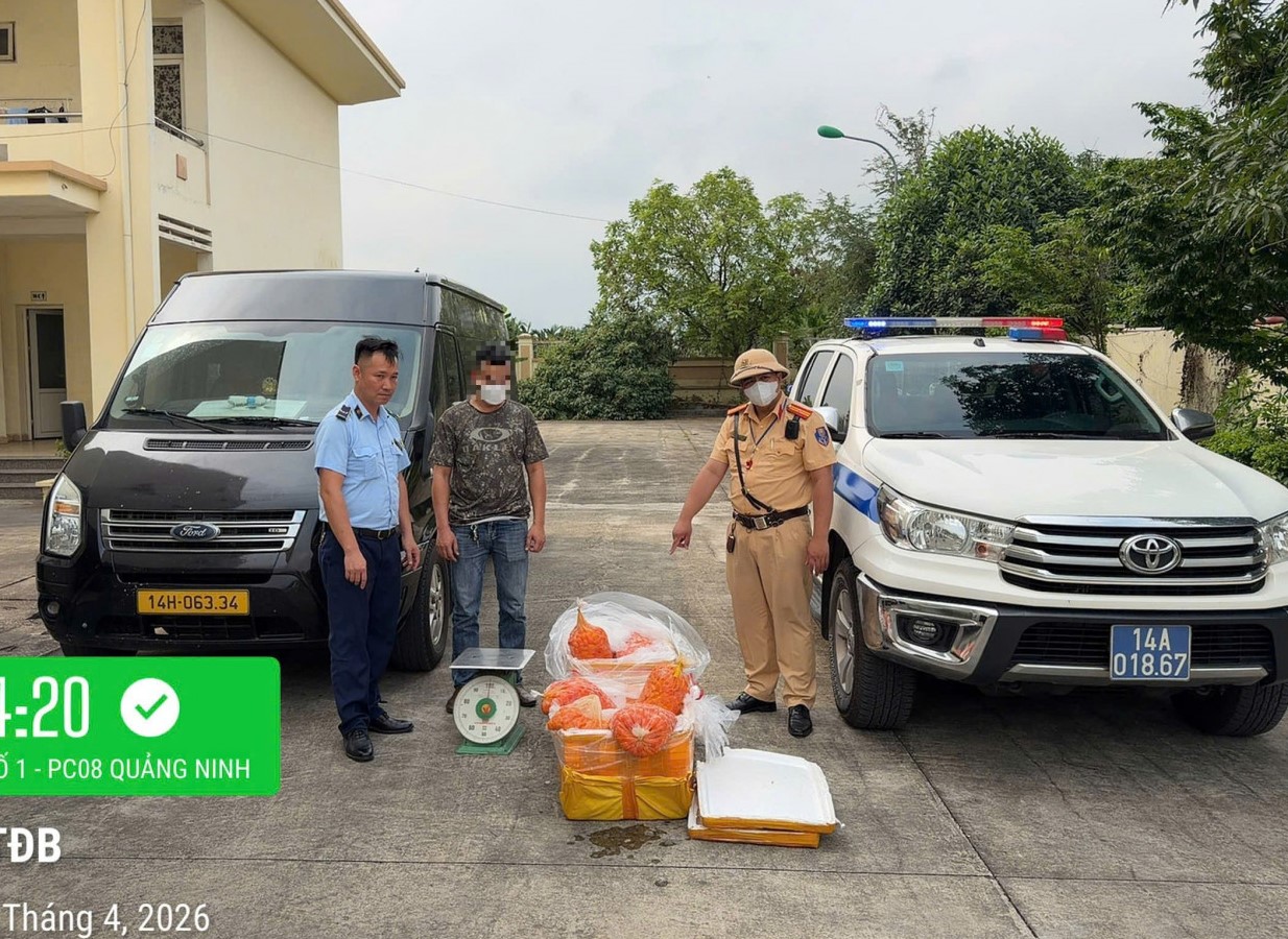 Phát hiện xe khách chở 150kg trứng gà non không rõ nguồn gốc