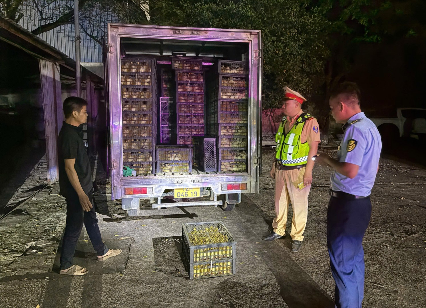 Phát hiện xe tải chở 10 000 vịt con không rõ nguồn gốc