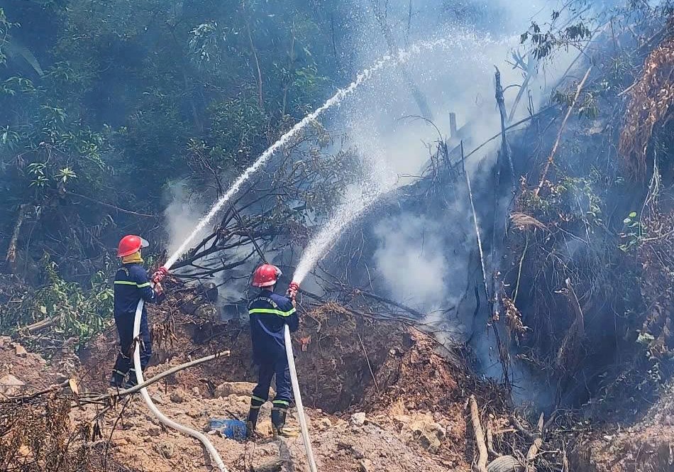 Kịp thời khống chế vụ cháy đồi ở Bãi Cháy trong ngày nghỉ lễ