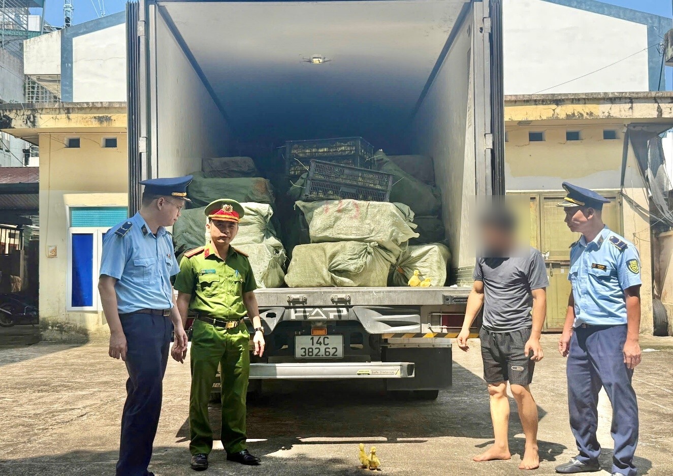 Phát hiện xe tải chở 24 000 con vịt giống và 2,5 tấn thực phẩm đông lạnh không rõ nguồn gốc