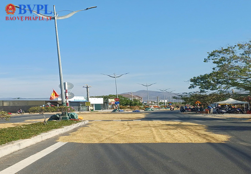 VKSND Khu vực 14 tỉnh Lâm Đồng kiến nghị bảo đảm an toàn giao thông đường bộ