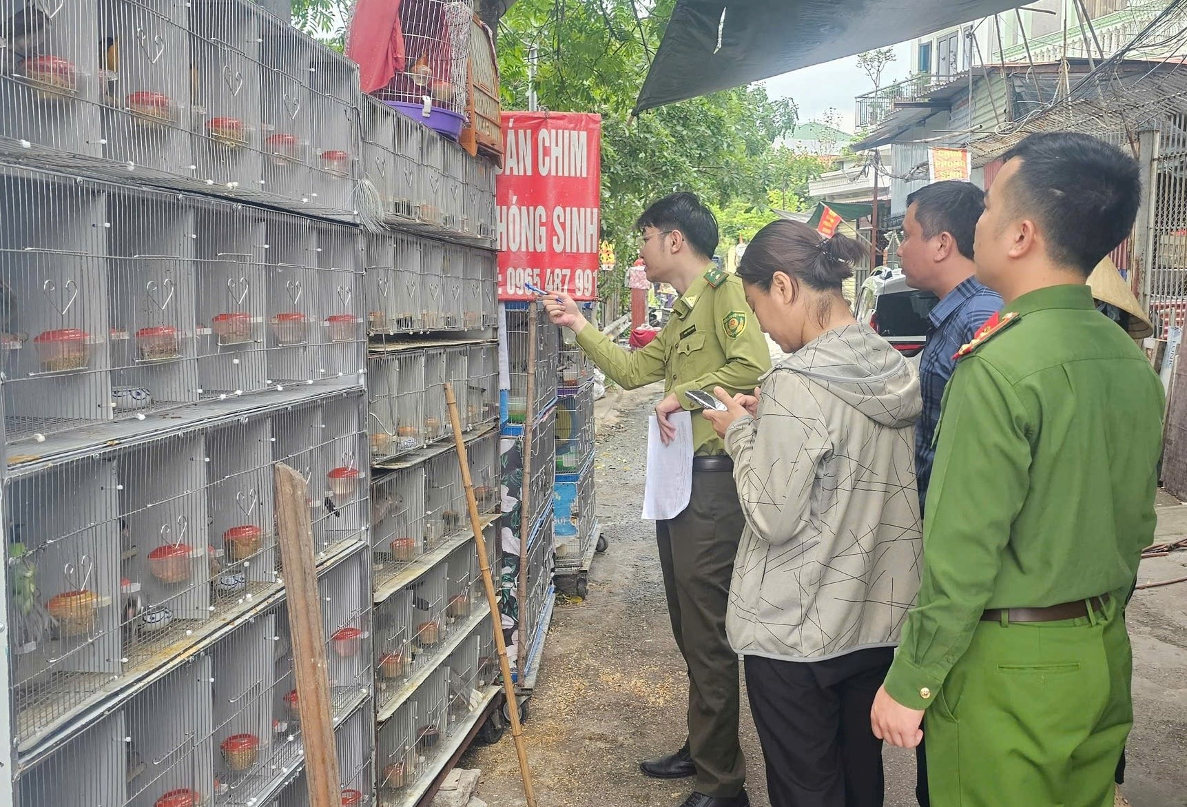 Gần 1 000 cá thể chim hoang dã bị phát hiện tại 3 cửa hàng chim cảnh ở Hải Phòng