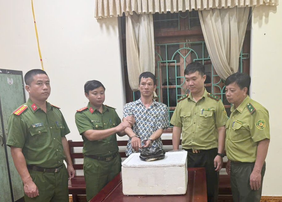 Vận chuyển trái phép rắn hổ mang chúa, một người đàn ông bị khởi tố