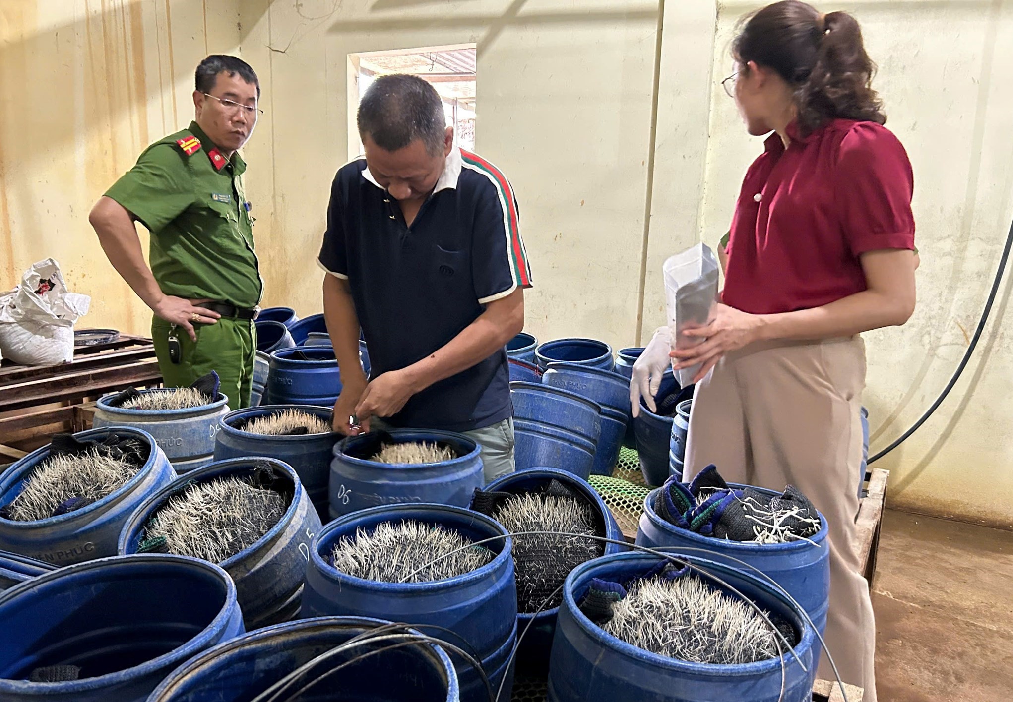 Phát hiện cơ sở sản xuất giá đỗ sử dụng chất cấm tại Hải Phòng