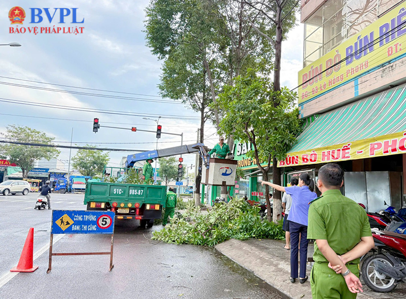 Tích cực đưa Nghị quyết số 205 vào thực tiễn đời sống
