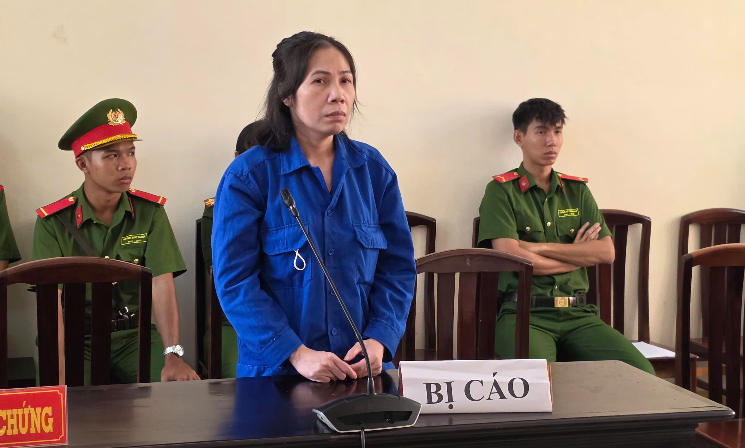 Tuyên phạt người phụ nữ 13 năm tù về tội lừa đảo chiếm đoạt tài sản
