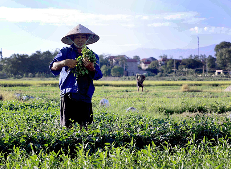 Bắc Bộ nắng nóng trước khi đón mưa dông, Nam Bộ mưa to cục bộ