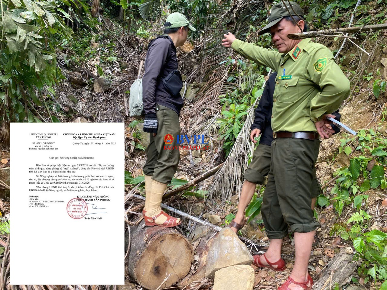 Dự án đường trăm tỉ đi qua, rừng phòng hộ “ngã” xuống UBND tỉnh Quảng Trị chỉ đạo kiểm tra, xử lý nghiêm các hành vi vi phạm